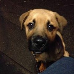 Billy Ricky Rudie Gunner