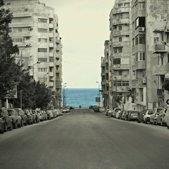 Mohamed Tarek(Tarek)