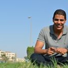Abdelrahman Amr