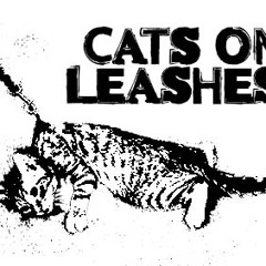 Cats On Leashes