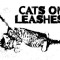 Cats On Leashes