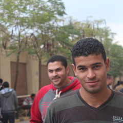 ELsayed Abou Elfetoh