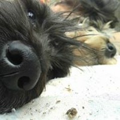 Nancy Jaubert Rodriguez