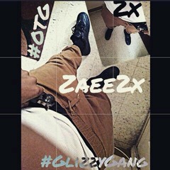 zaee2x