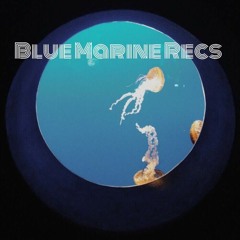 BlueMarine Records