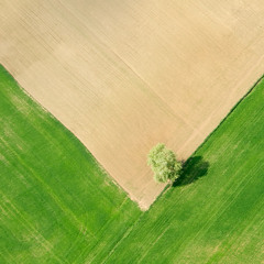 The New Project - Private