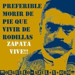 Jorge Arturo Palma Rioja