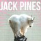 jack pines