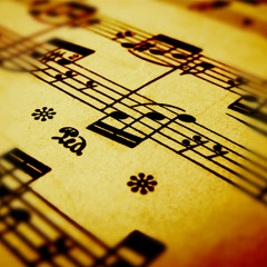 دل زارم - محسن نامجو