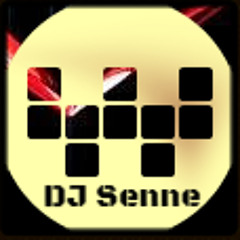 Senne Van Limbergen