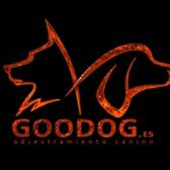 Goodog Adiestra