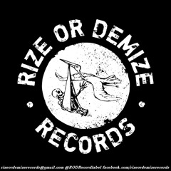 Rize Or Demize Records