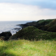 -_- with a side of *-*