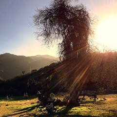 Music I've Gone and Done