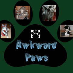 Awkward Paws