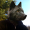 Blacky Wolf