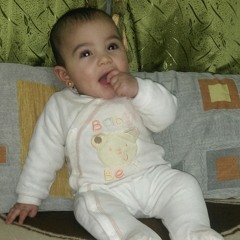 eltayeb2025