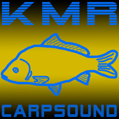 kmr-carpsound