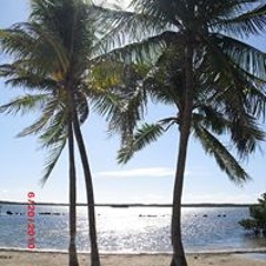 Marta N Yanovsky Seidel