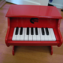 Anne-Sophie Prebensen