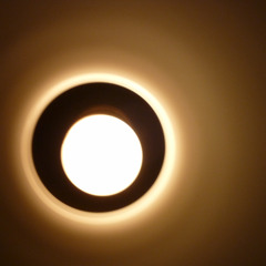 The Light
