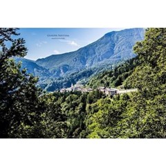 tisserandisratisserand