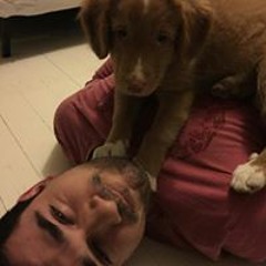 João Júnior Araújo