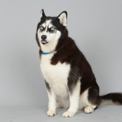 Kuru