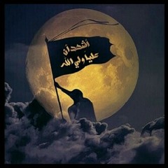 user194086982