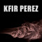Kfir Perez
