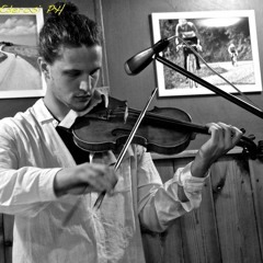 Federico Zaltron - Violinist