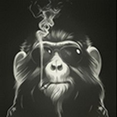 sna99ers