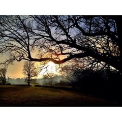 guyardmohamed-ali2014