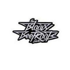 Mario Ariosto Ibrahimovic