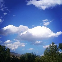 juliiavanwijngaarden