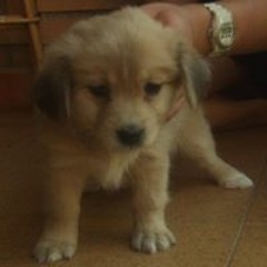 Jose Miguel Faura Salas