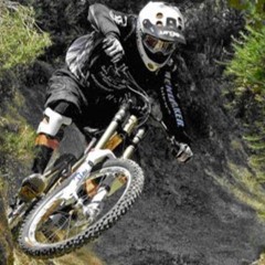 brutaldownhill