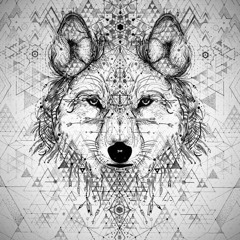 ╚»★ ALLEY ★«╝