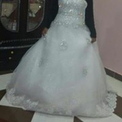 اغاني مفضلة