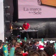 Prince Royse Megamix - DJ Beka - Costa Rica - 2012