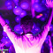 Transdubmaster