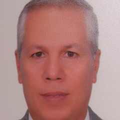 Maher Mohsen