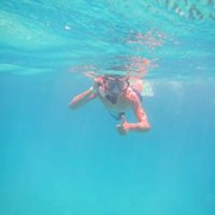 kyledavis96
