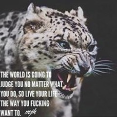 Mathias Gandrudbakken