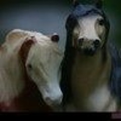 howling thunder stables