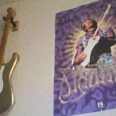 Guitary Life
