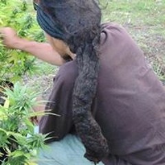 Tetsuya Mocchi Shimohashi