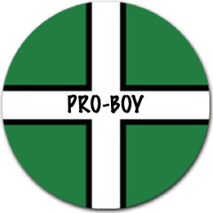 Pro Boy