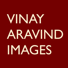 Vinay Aravind