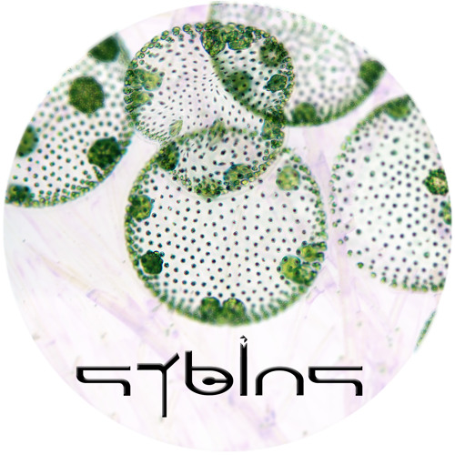 SyBins’s avatar